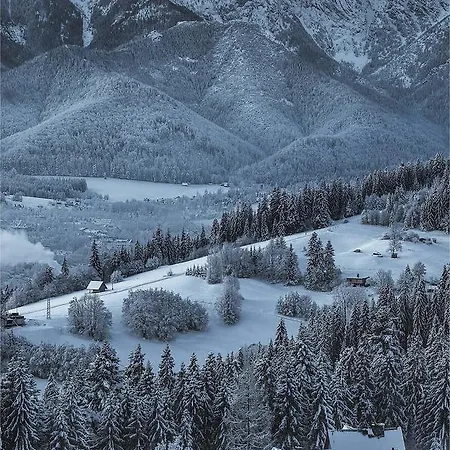 לינה וארוחת בוקר 14 זקופאנה