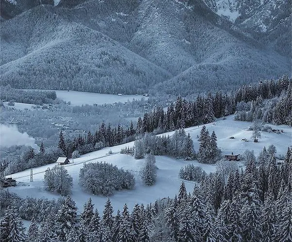 Bed & Breakfast 14 Zakopane